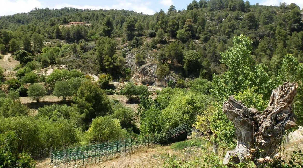 699_fincas-en-venta-011