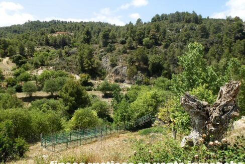 699_fincas-en-venta-011