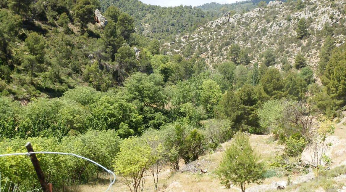 699_fincas-en-venta-012