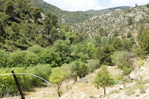 699_fincas-en-venta-012