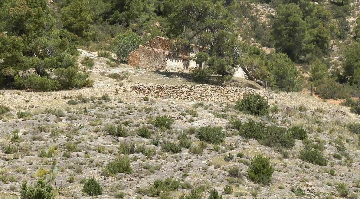 699_fincas-en-venta-015