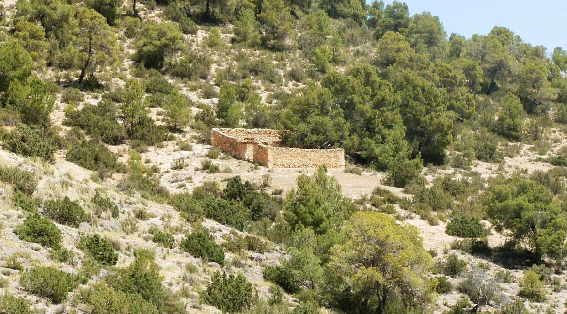 699_fincas-en-venta-016