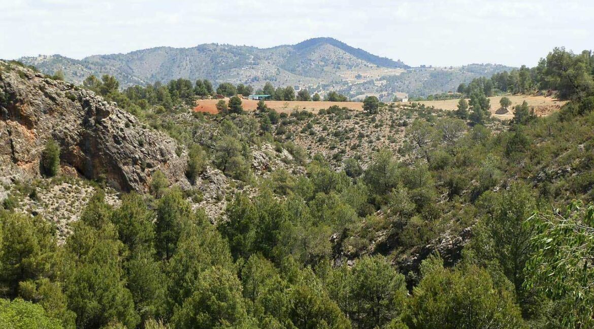 699_fincas-en-venta-017