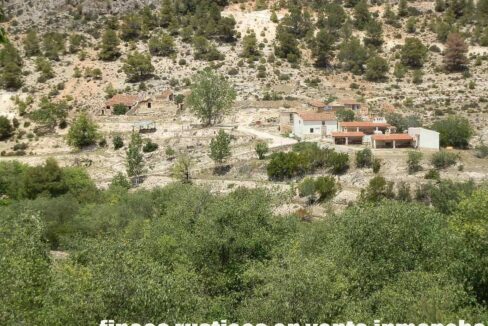 699_fincas-en-venta-031