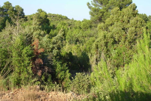 702_fincas-en-venta-1