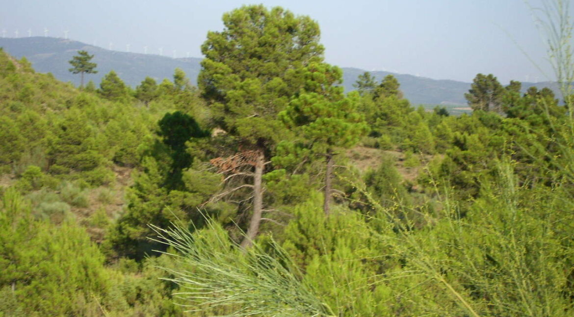 702_fincas-en-venta-10