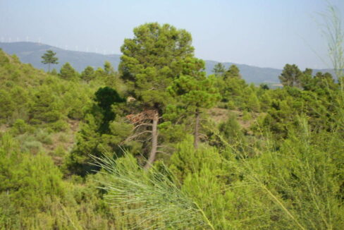 702_fincas-en-venta-10