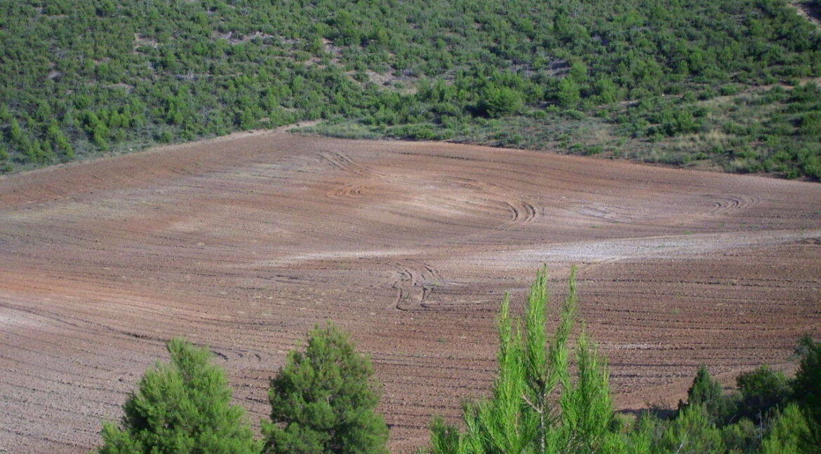 702_fincas-en-venta-2