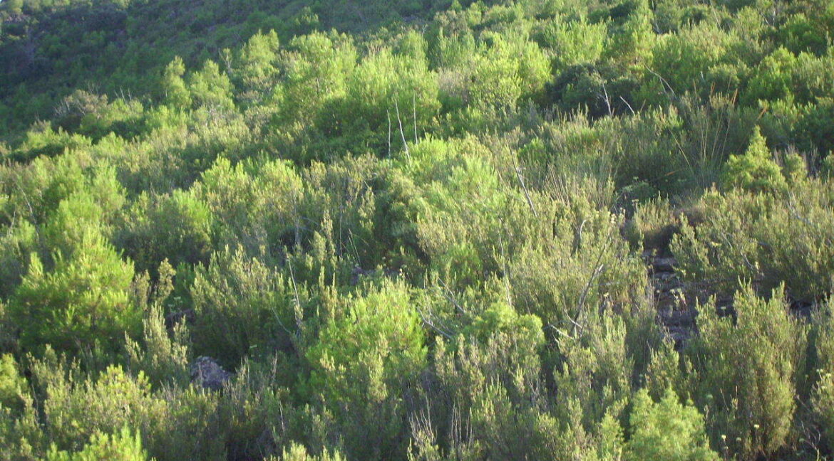 702_fincas-en-venta-4