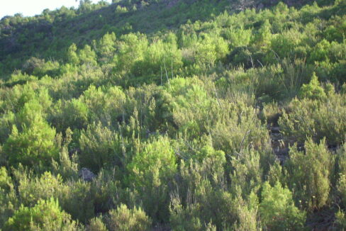 702_fincas-en-venta-4