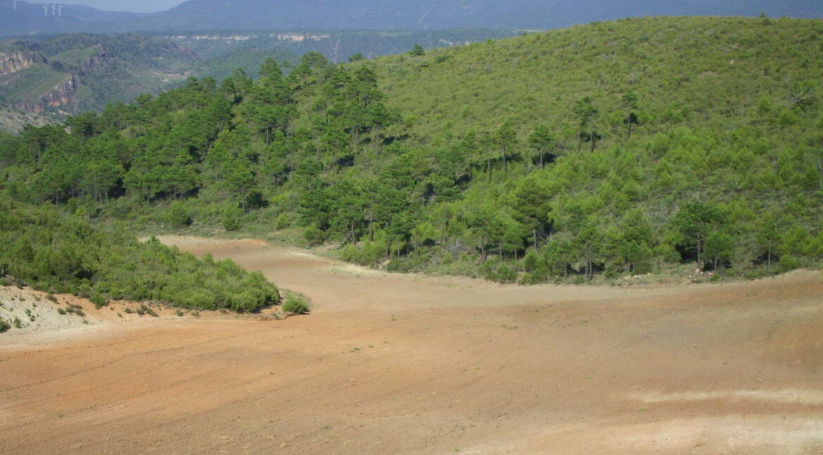 702_fincas-en-venta-5