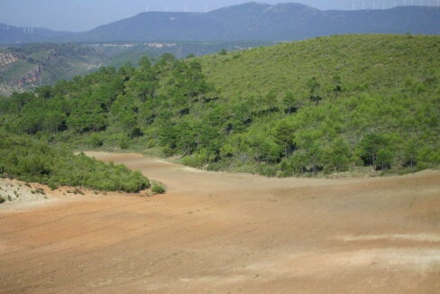 702_fincas-en-venta-5