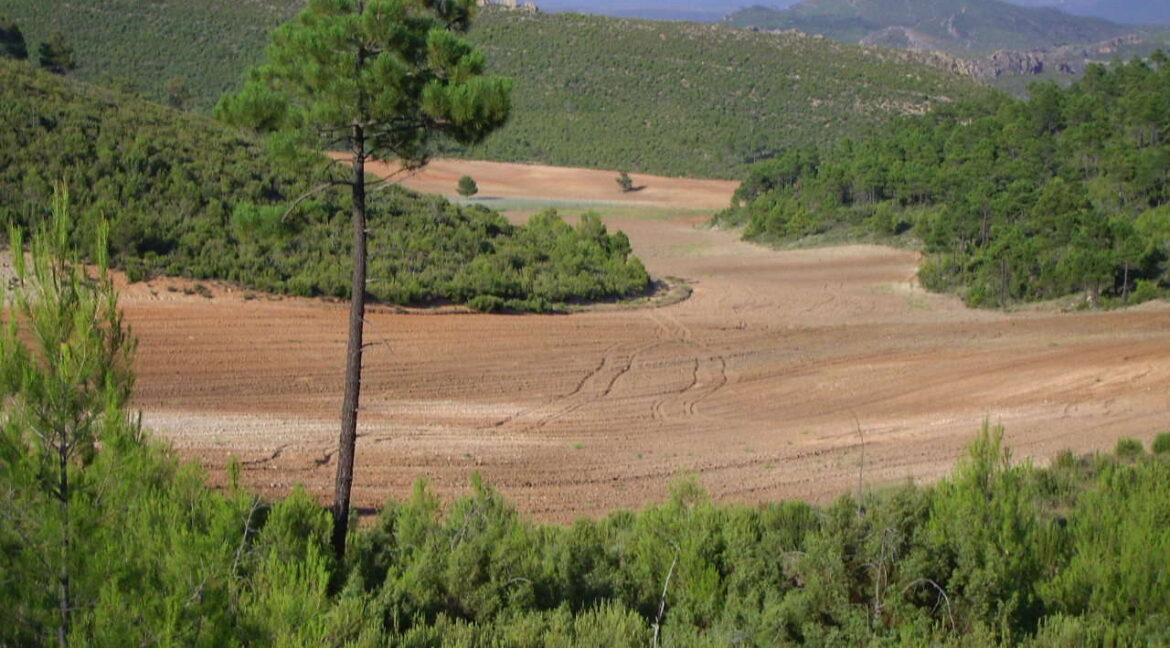 702_fincas-en-venta-6