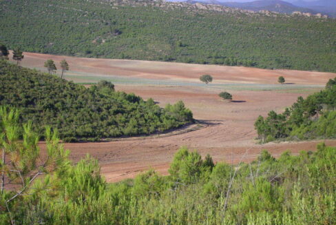 702_fincas-en-venta-7