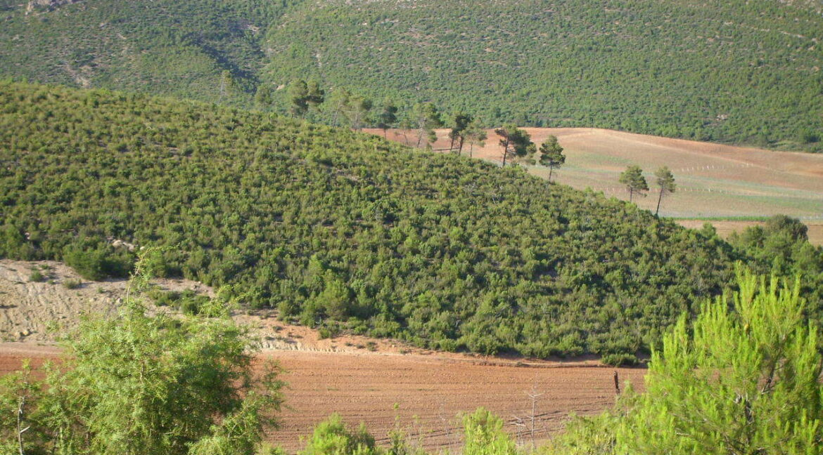 702_fincas-en-venta-8