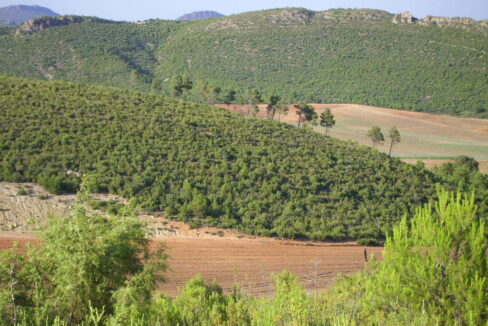 702_fincas-en-venta-8