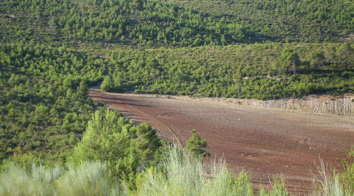 702_fincas-en-venta-9