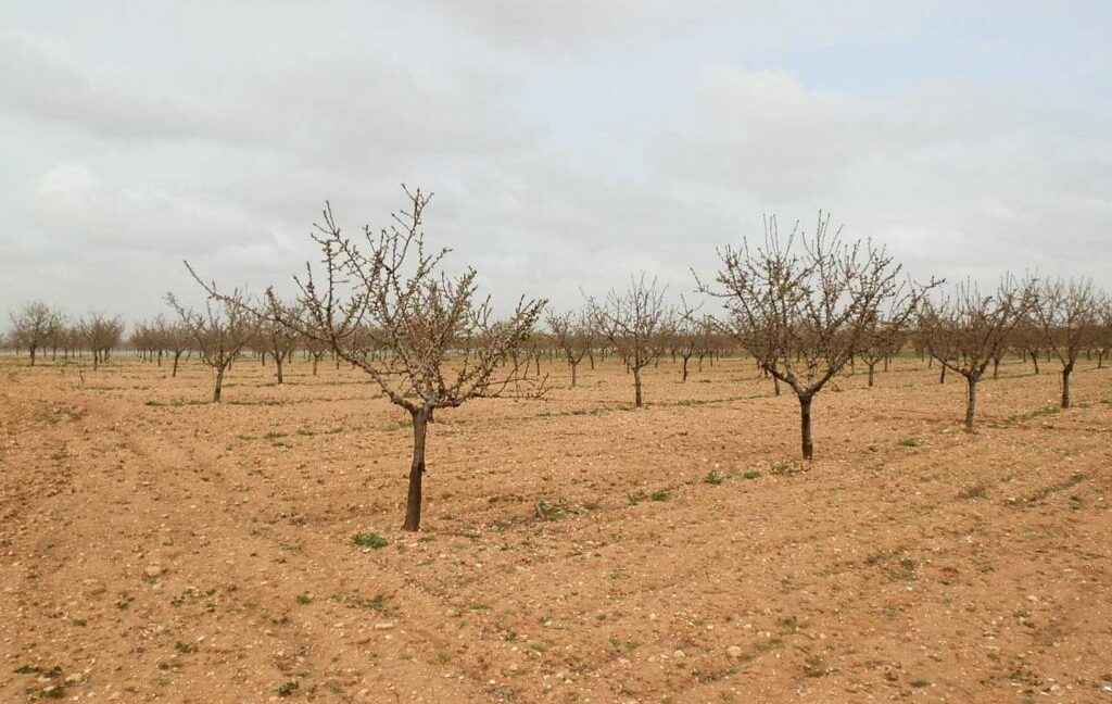 703_fincas-en-venta-0022