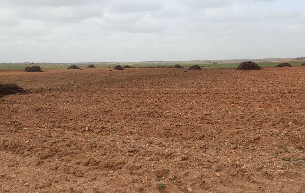 703_fincas-en-venta-0040