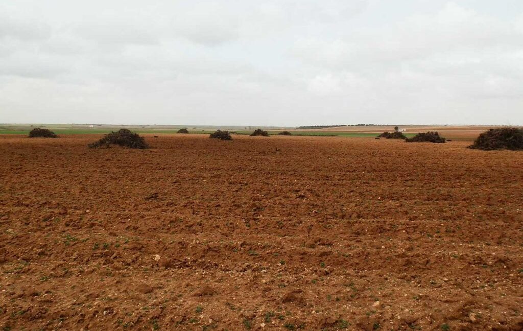 703_fincas-en-venta-0044