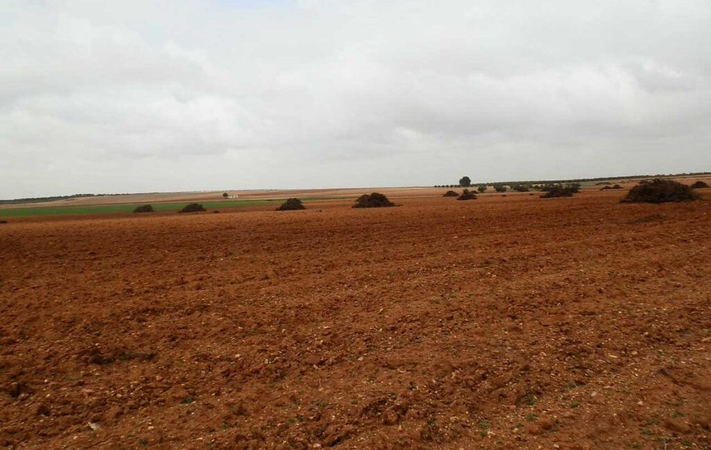 703_fincas-en-venta-0045