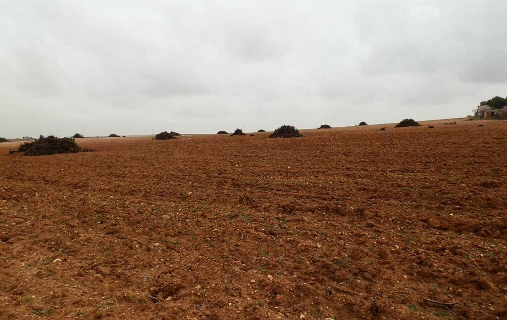 703_fincas-en-venta-0047