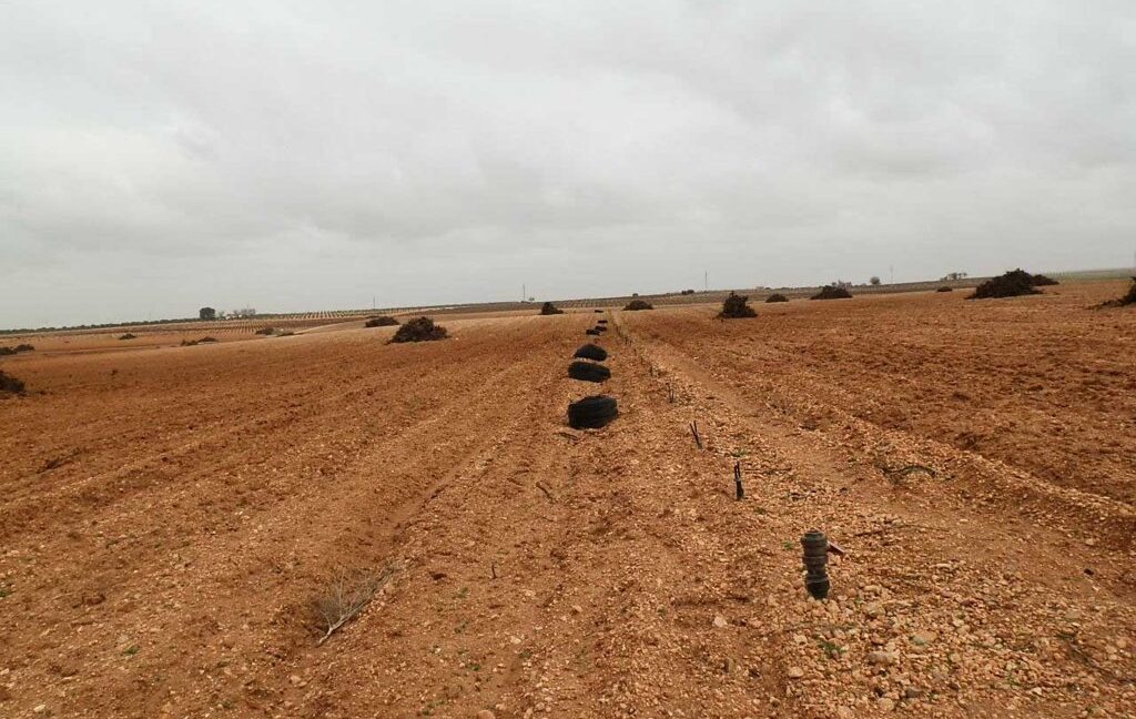 703_fincas-en-venta-0049