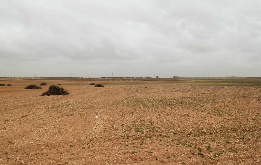 703_fincas-en-venta-0052