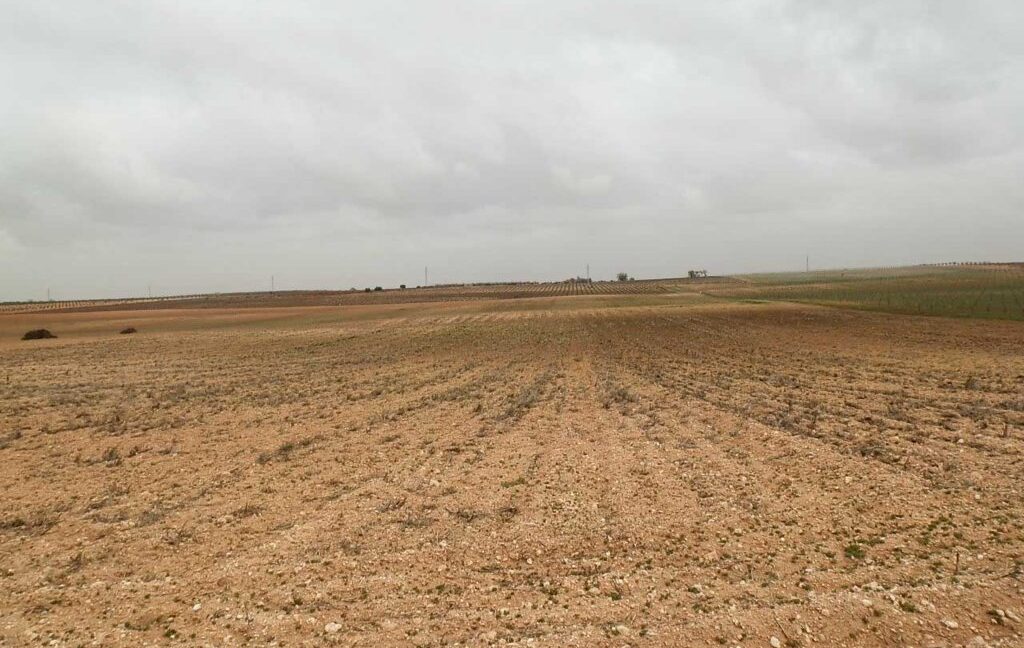 703_fincas-en-venta-0053