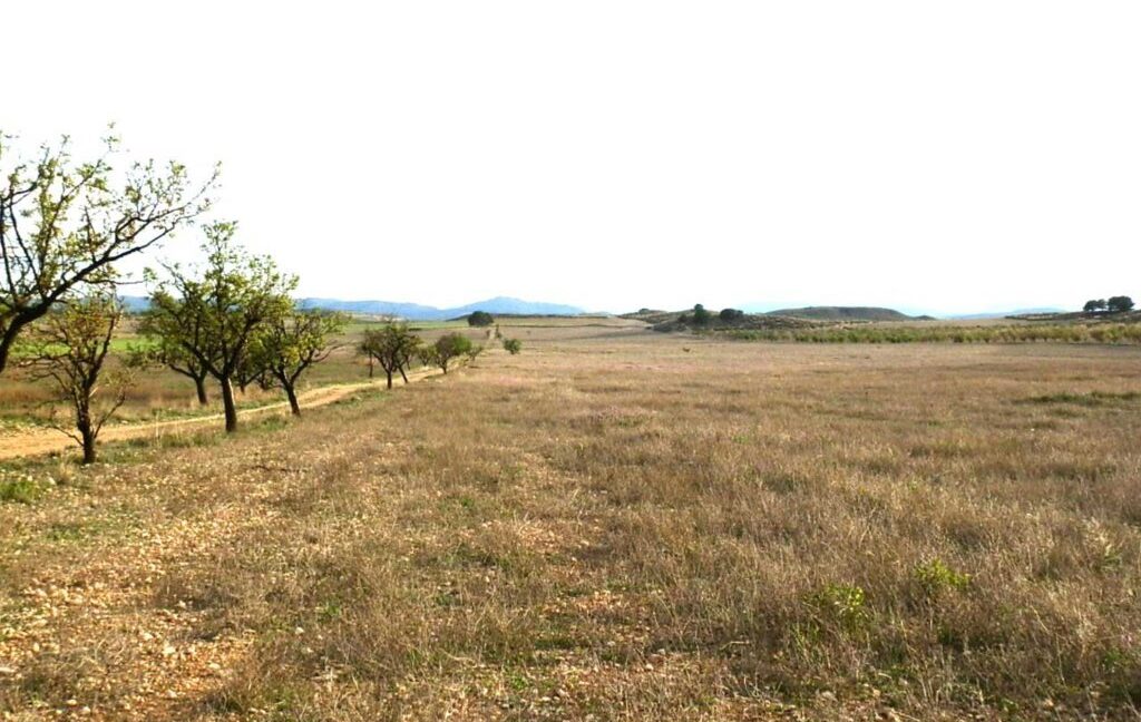 704_fincas-en-venta-088