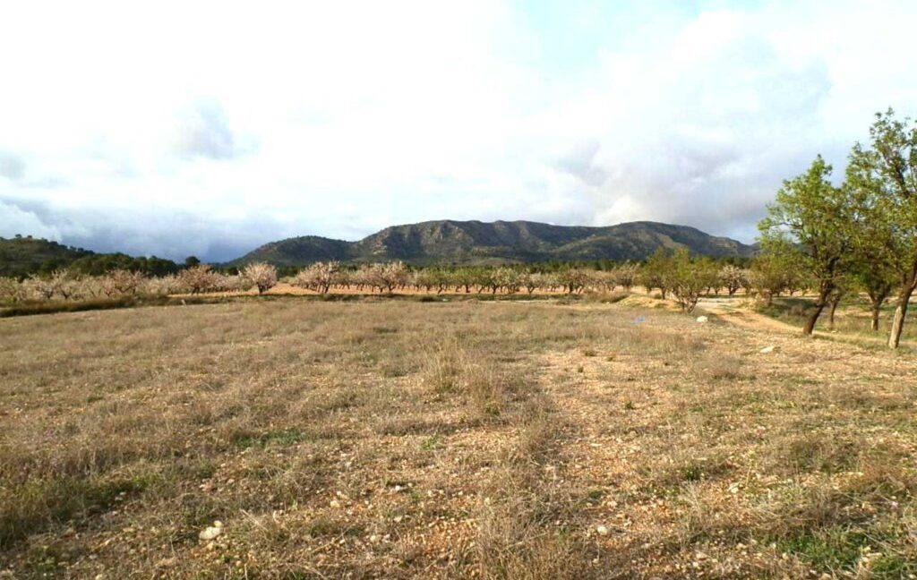 704_fincas-en-venta-089