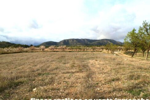 704_fincas-en-venta-089