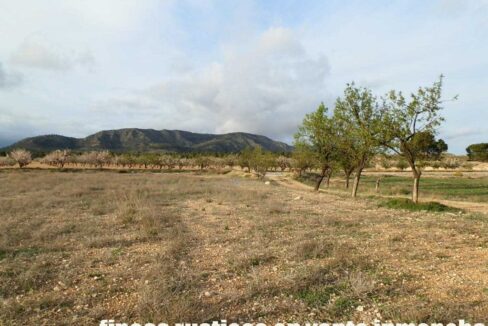 704_fincas-en-venta-090