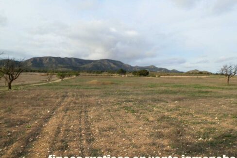 704_fincas-en-venta-092