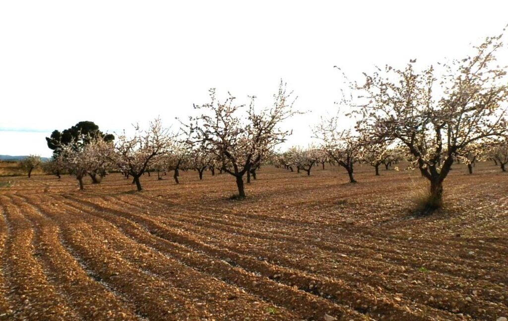 704_fincas-en-venta-096