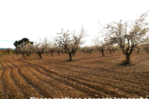 704_fincas-en-venta-096