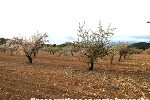 704_fincas-en-venta-100