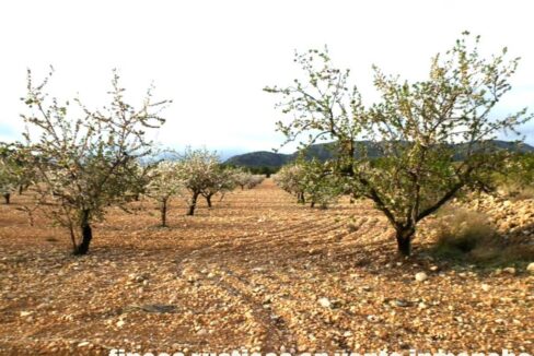 704_fincas-en-venta-101