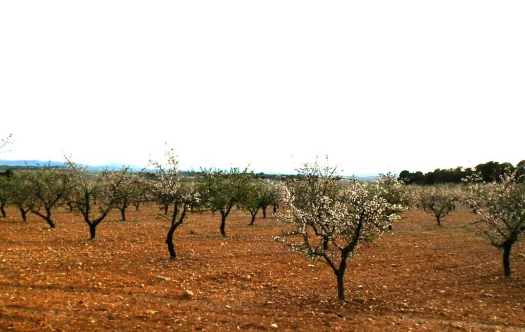 704_fincas-en-venta-102