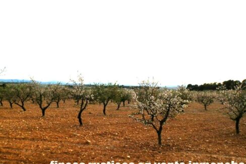 704_fincas-en-venta-102