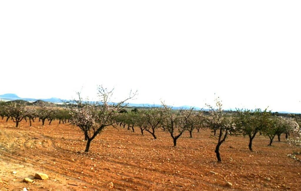 704_fincas-en-venta-103