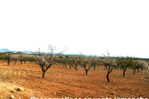 704_fincas-en-venta-103