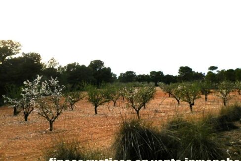 704_fincas-en-venta-106