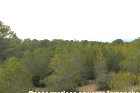 704_fincas-en-venta-114