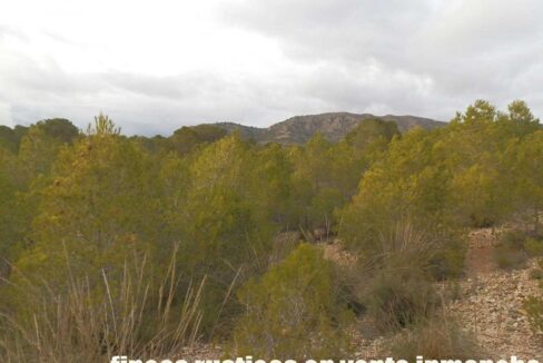 704_fincas-en-venta-116