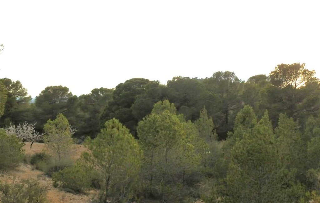 704_fincas-en-venta-118