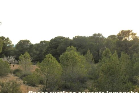 704_fincas-en-venta-118