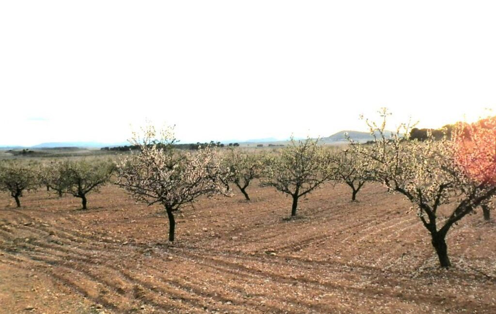 704_fincas-en-venta-123