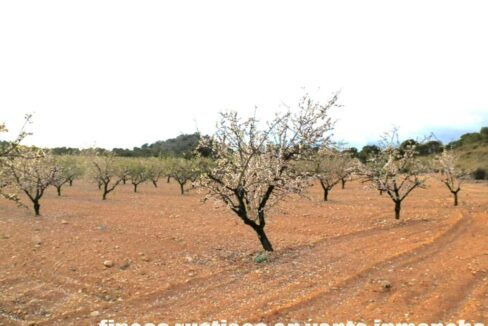 704_fincas-en-venta-125