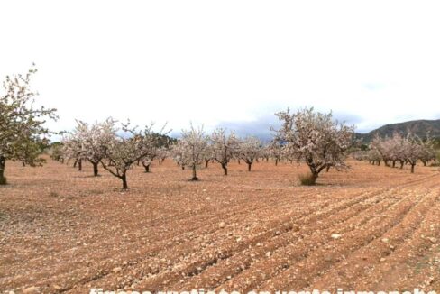 704_fincas-en-venta-126